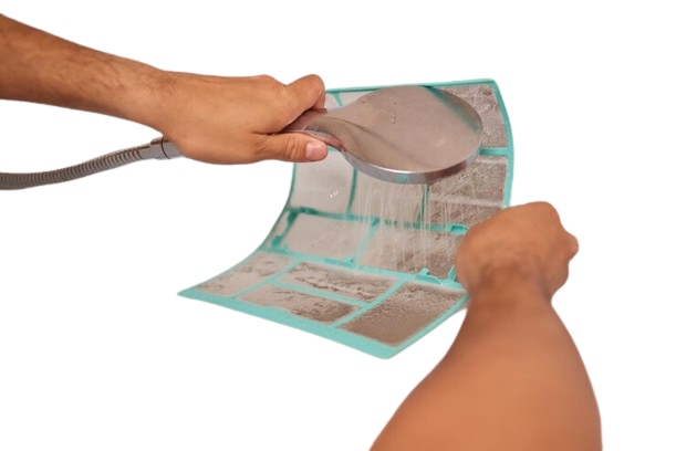 image-removebg-preview (64).png
