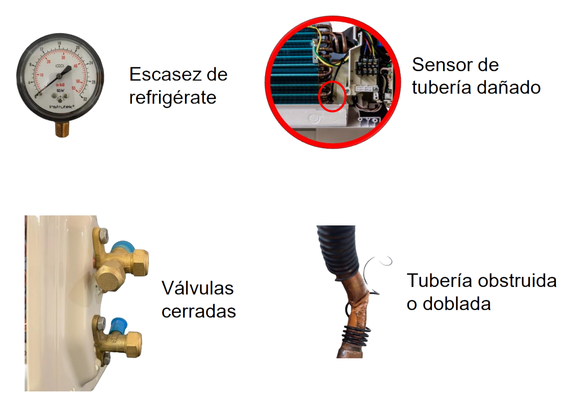 imagen copia.png